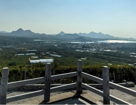 平度大澤山葡萄園引進(jìn)萊恩德土壤肥料檢測(cè)儀， 輕松掌握土壤營(yíng)養(yǎng)